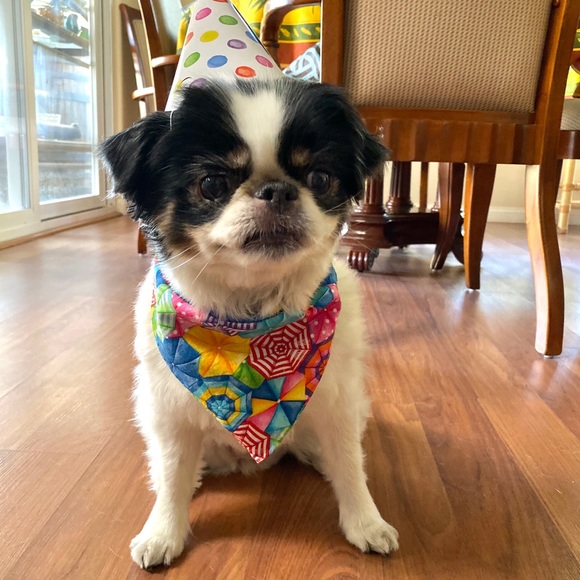 Meet your Posher, Emily - Picture 4 of 8